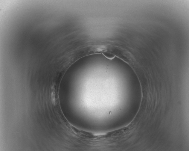 X0000067501442200604150055