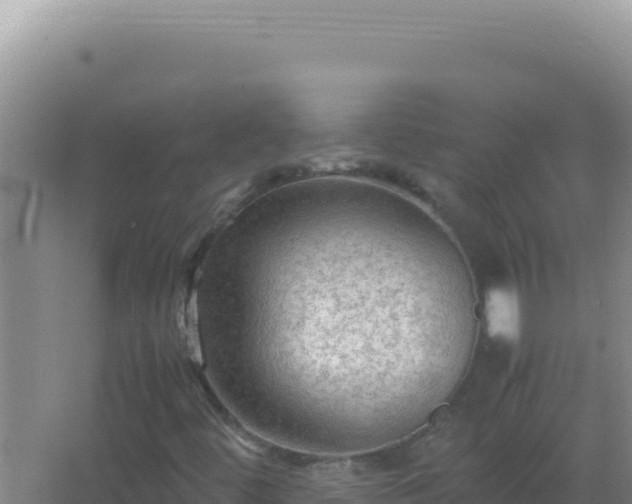 X0000067501444200604150055