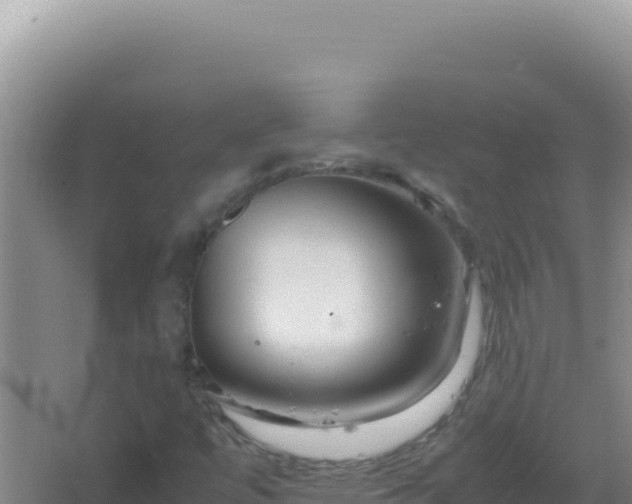 X0000067501447200604150055