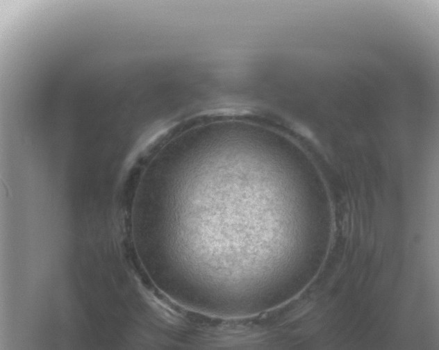 X0000067501448200604150055