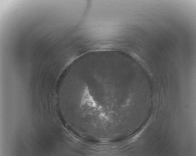 X0000067501449200604150055