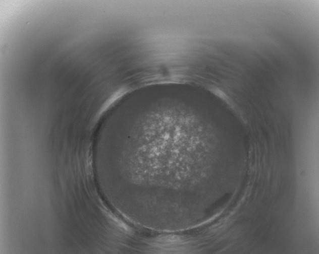 X0000067501450200604150055