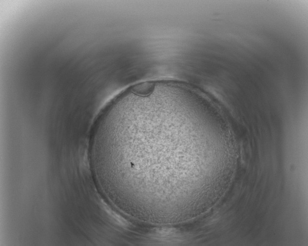 X0000067501452200604150055