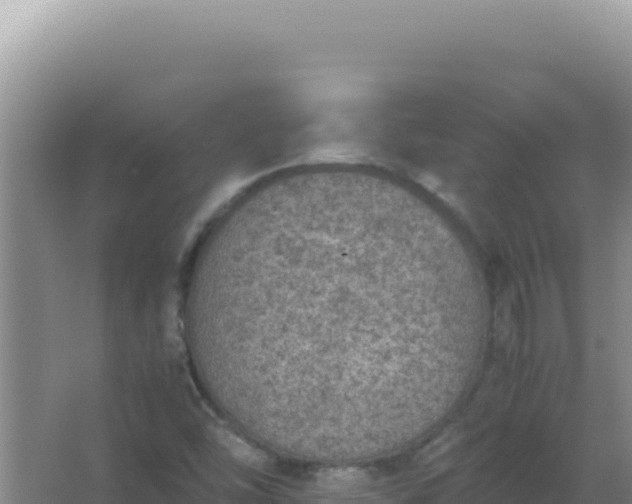 X0000067501454200604150055