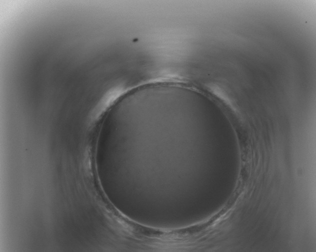 X0000067501455200604150055