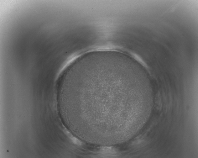 X0000067501456200604150055