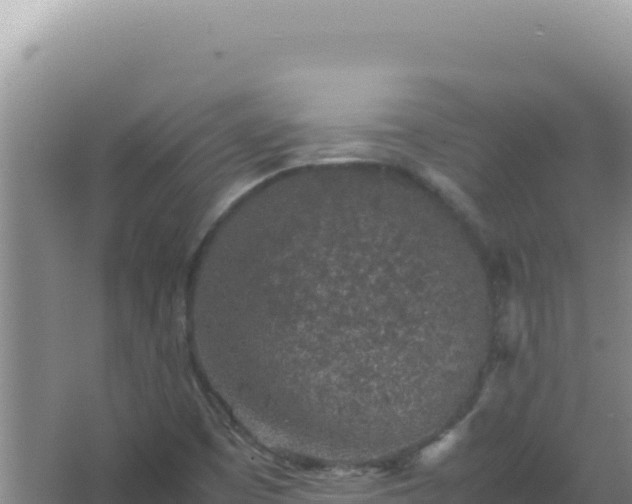 X0000067501457200604150055