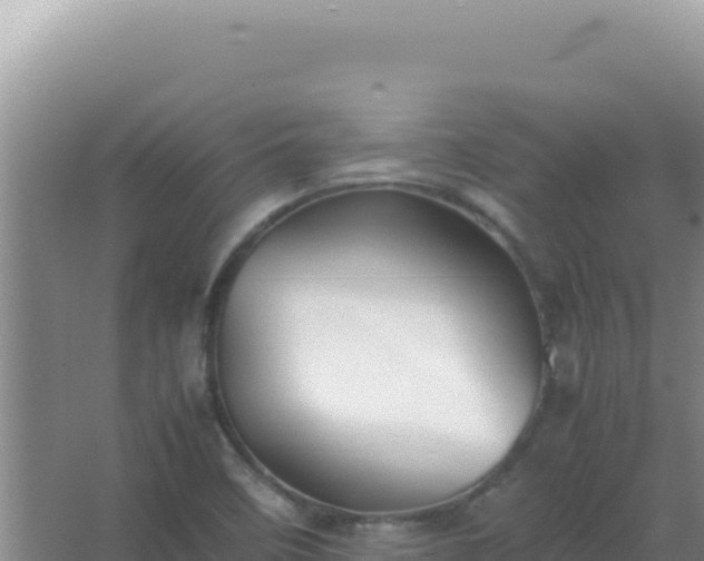 X0000067501458200604150055