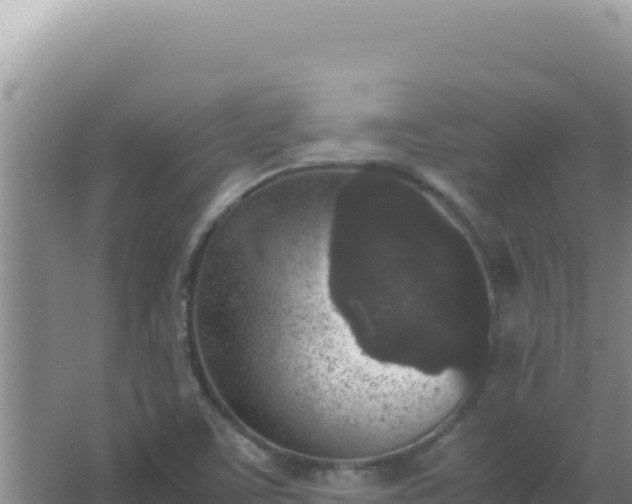 X0000067501459200604150055