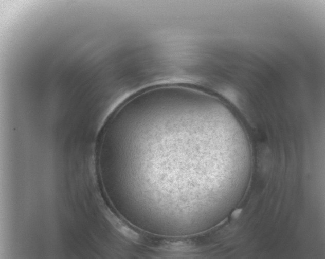 X0000067501460200604150055