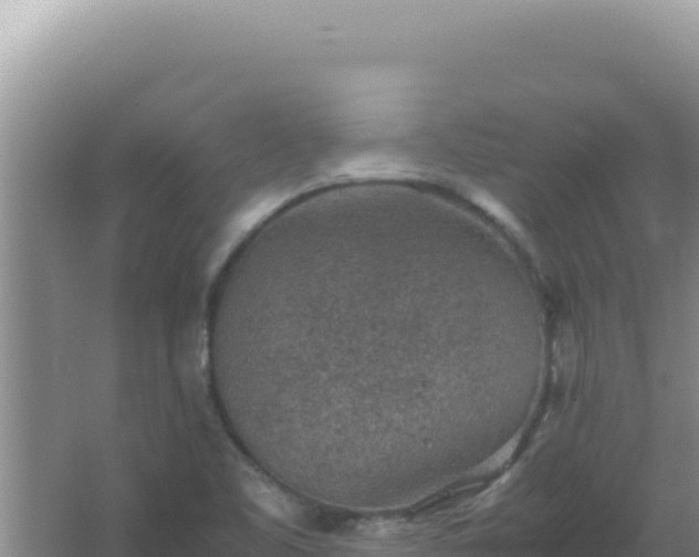 X0000067501461200604150055