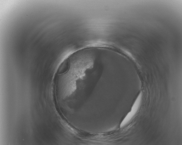 X0000067501463200604150055