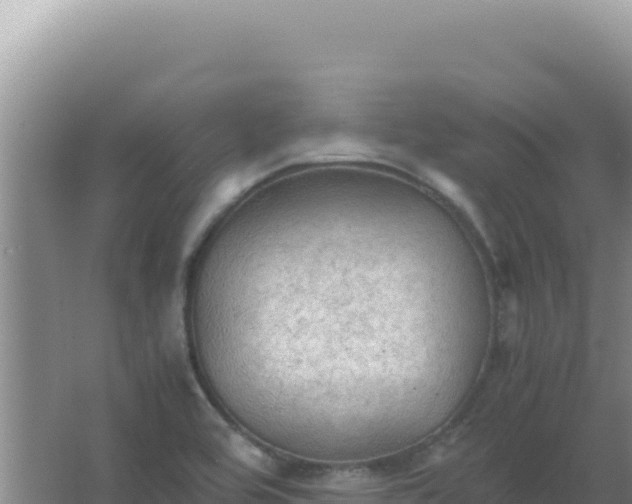 X0000067501464200604150055