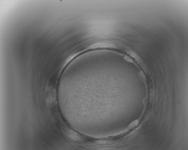 X0000067501465200604150055