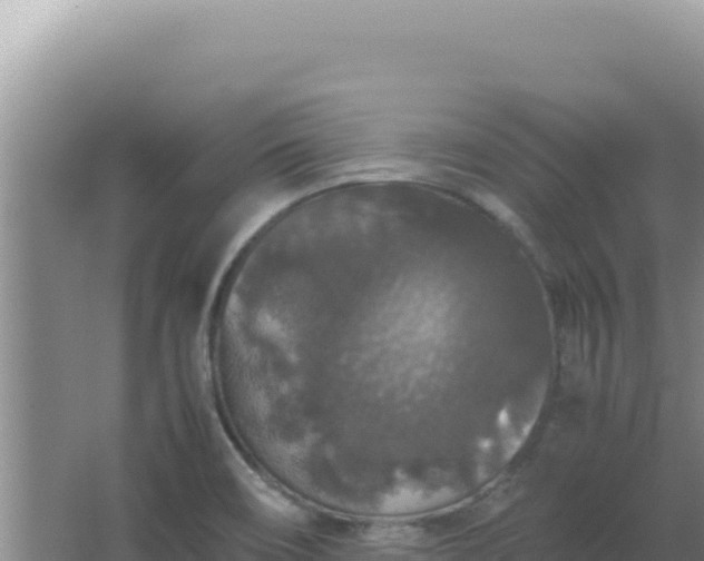 X0000067501466200604150055