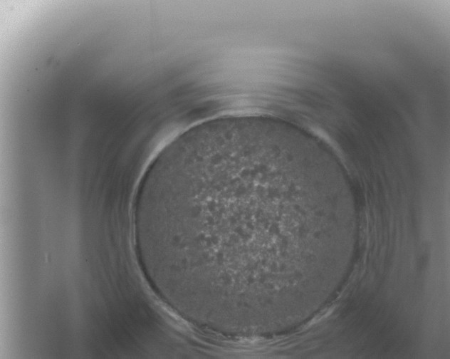 X0000067501467200604150055