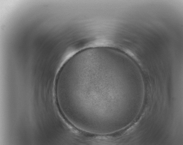 X0000067501469200604150055