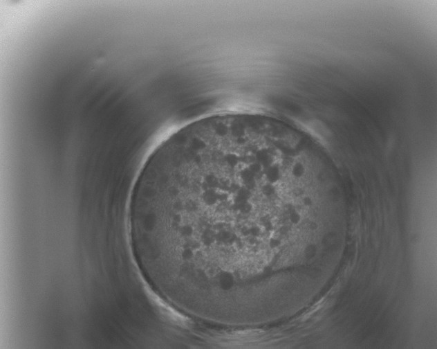 X0000067501471200604150055