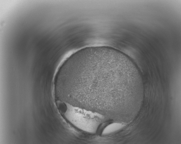 X0000067501472200604150055