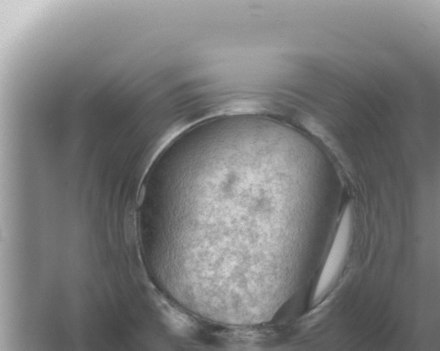 X0000067501473200604150055