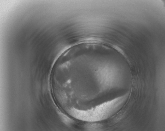 X0000067501474200604150055