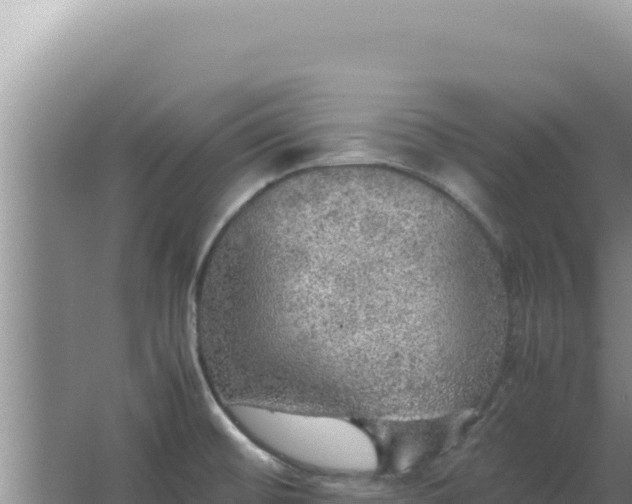 X0000067501476200604150055