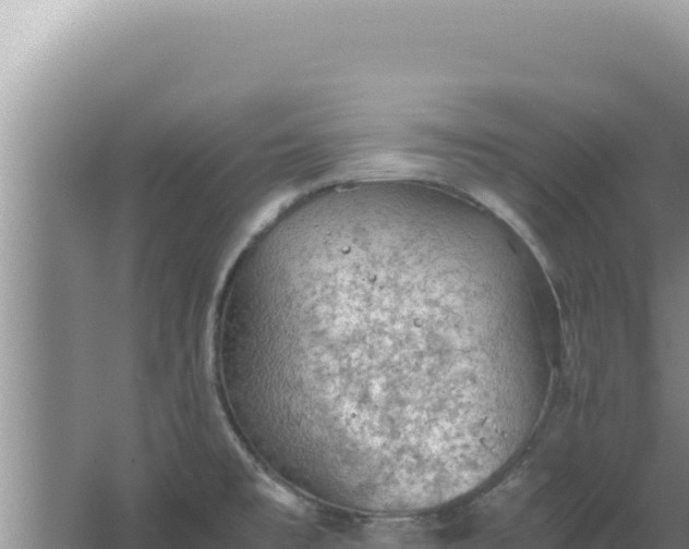 X0000067501477200604150055