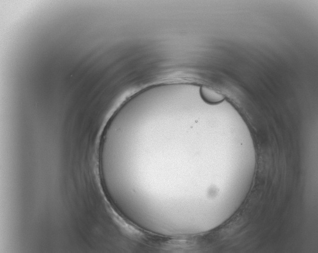 X0000067501478200604150055