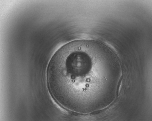 X0000067501479200604150055