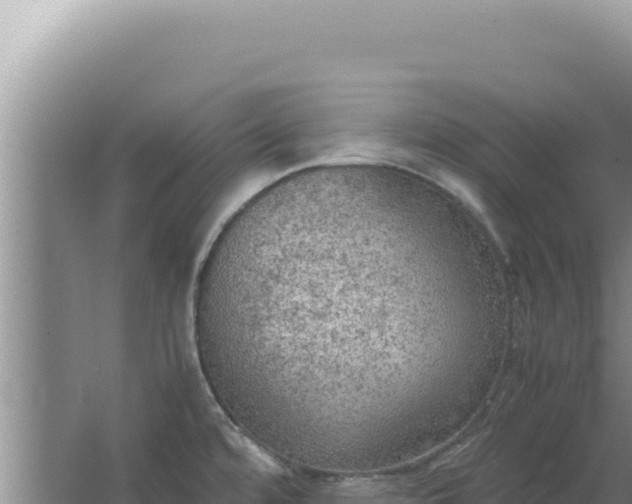 X0000067501480200604150055