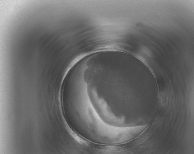 X0000067501482200604150055