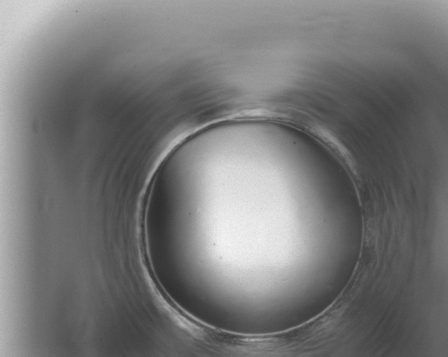 X0000067501483200604150055