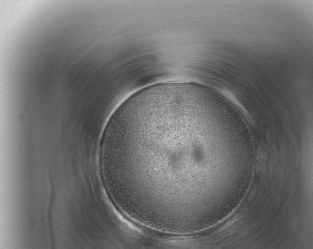 X0000067501484200604150055