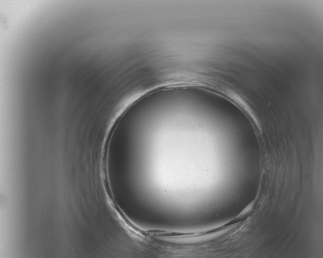 X0000067501485200604150055