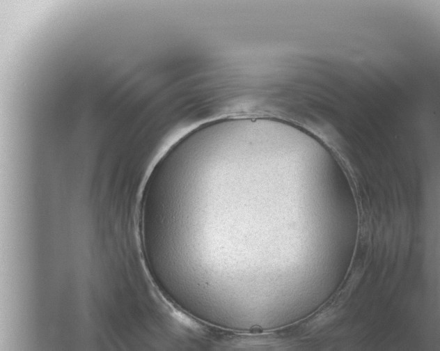 X0000067501486200604150055