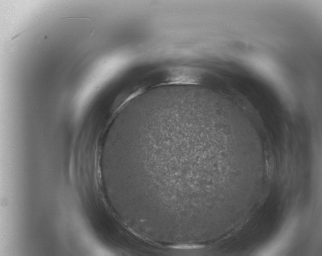 X0000067501487200604150055