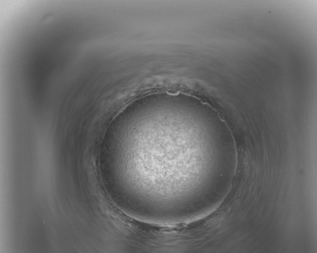 X0000067501489200604150054