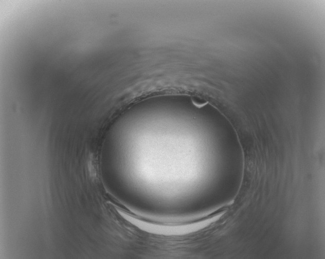 X0000067501490200604150054