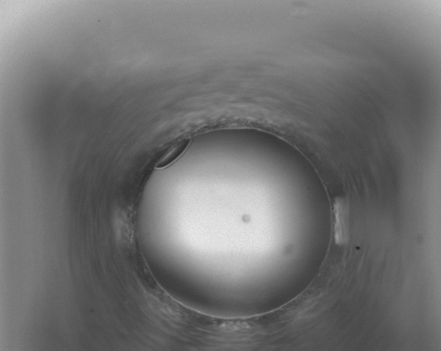 X0000067501491200604150054