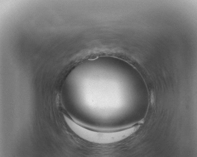 X0000067501492200604150054