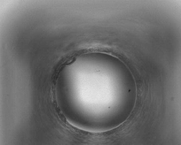 X0000067501493200604150054