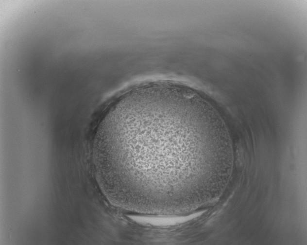 X0000067501494200604150054