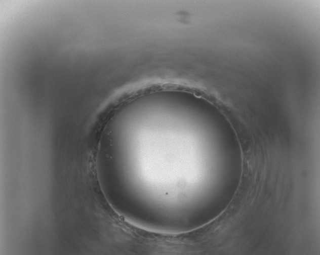 X0000067501495200604150054