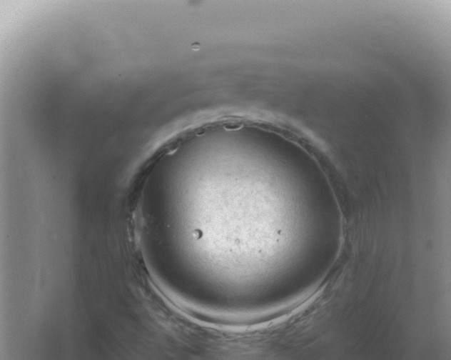 X0000067501496200604150054