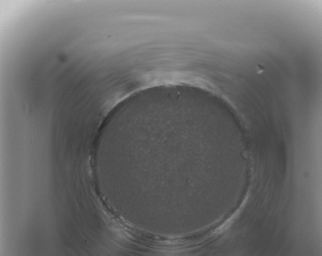 X0000067501497200604150054