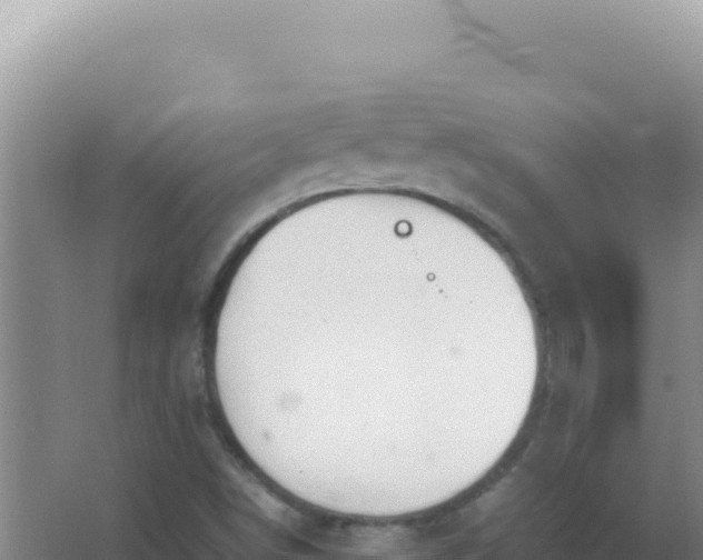 X0000067501498200604150054