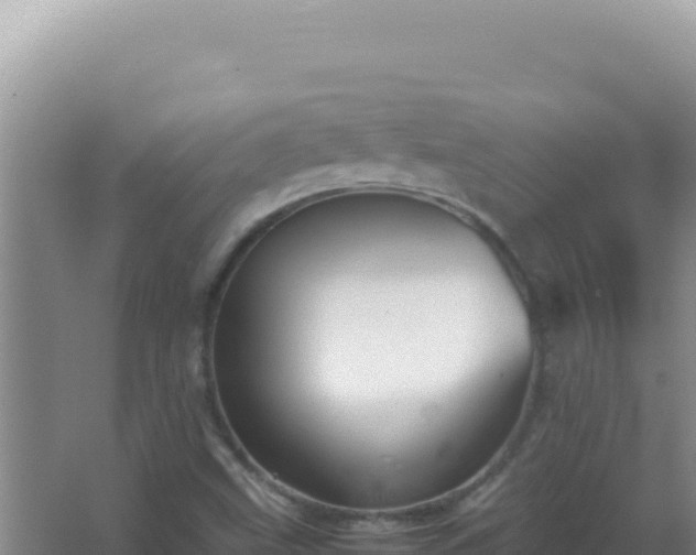 X0000067501499200604150054