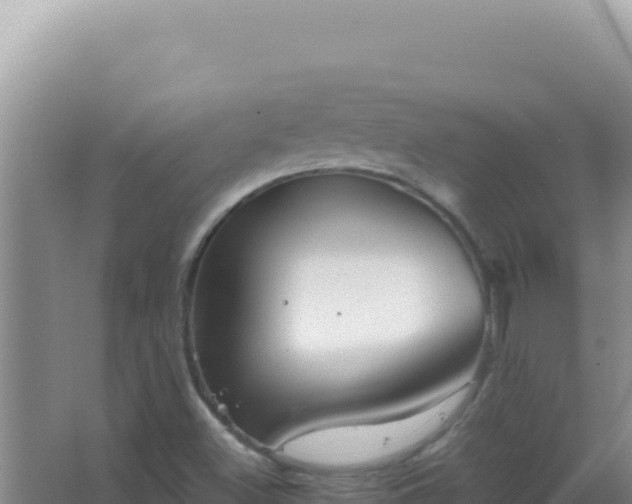 X0000067501500200604150054