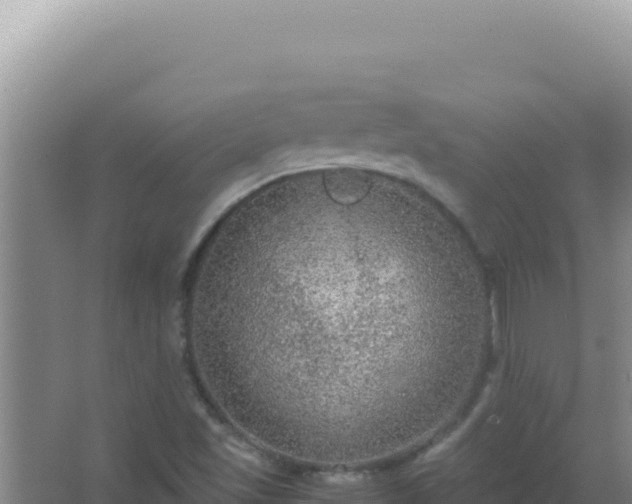 X0000067501501200604150054