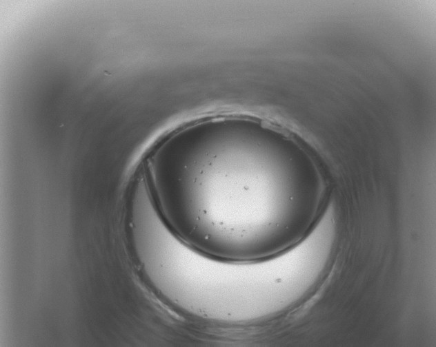 X0000067501502200604150054